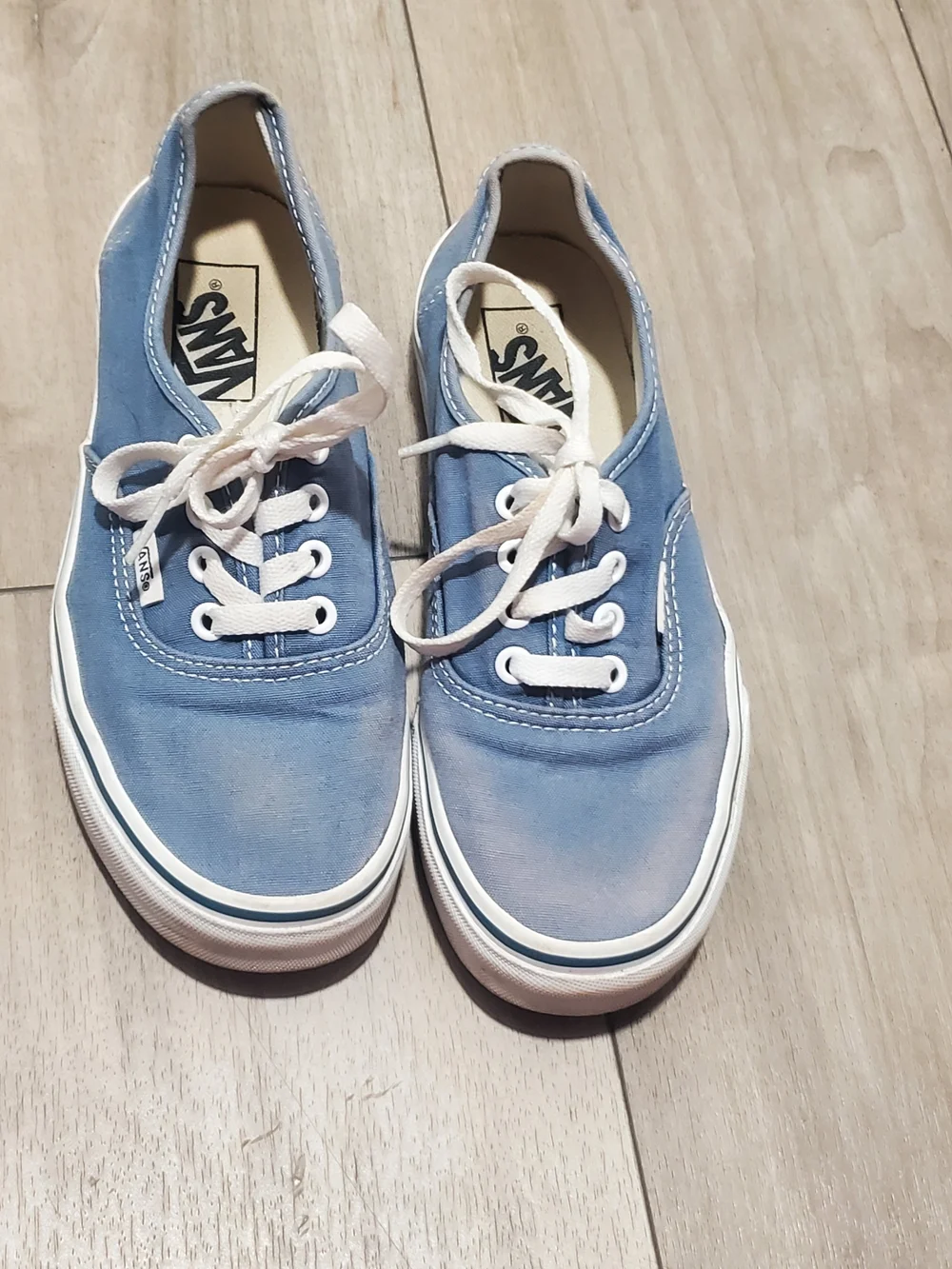 Vans Authentic Low Top Sneakers in Light Blue